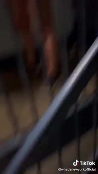 line to view a single 1BR apartment in Manhattan