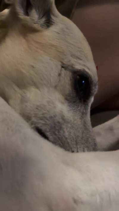 I didn’t want to wake her up