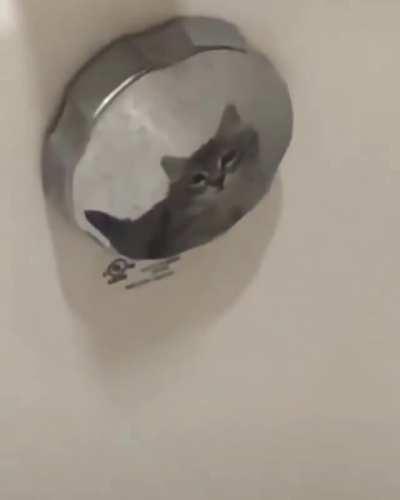 I'm good enough, I'm smart enough, and doggone it, people like me.