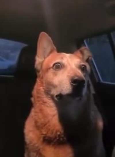 GamingIRL - Silent Hill