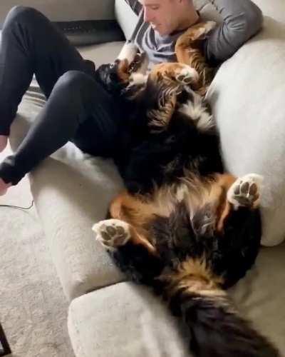 My coworker loves break time.