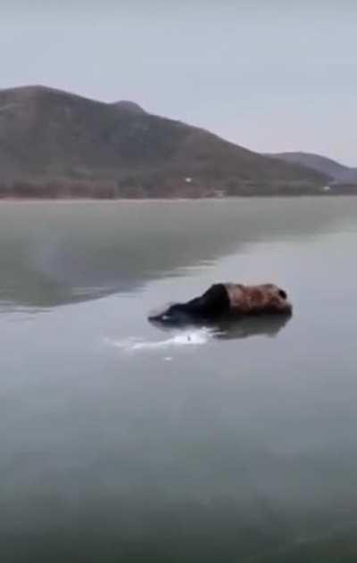 Fishing like a real man