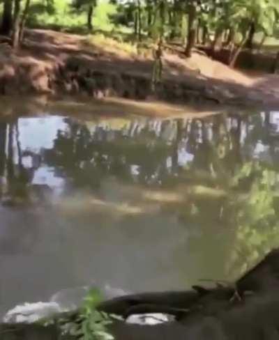 what in the hell did she hit midair?