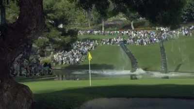 Heck of an arm on this fellow.