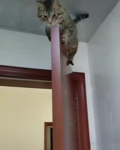 I'll just sleep here...