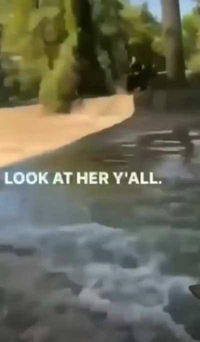 Watch her whip, watch her nae nae