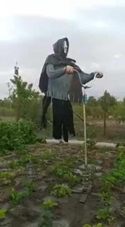 Жена попросила мужа сделать пугало. после этого сосед по даче бросил пить)