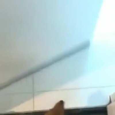 His favorite place is his bed.