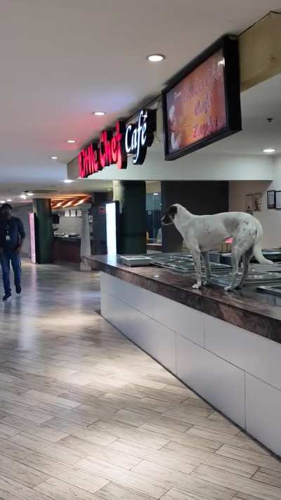Undercover Fssai employee checking food quality in Eon it park food canteen.