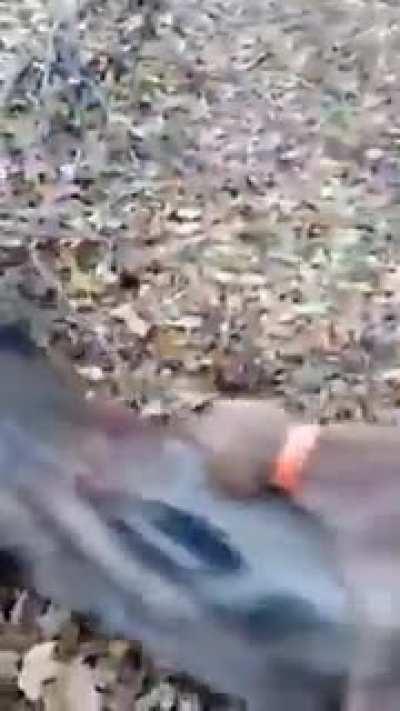 Take every opportunity