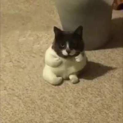 When Aloona posts new video, all the Litol Kyets: