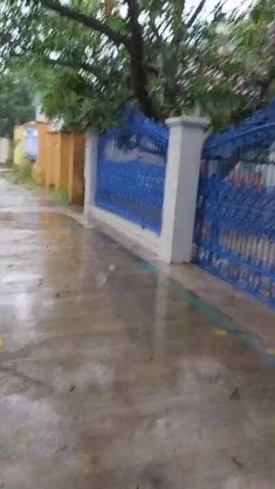 Lovely Rain