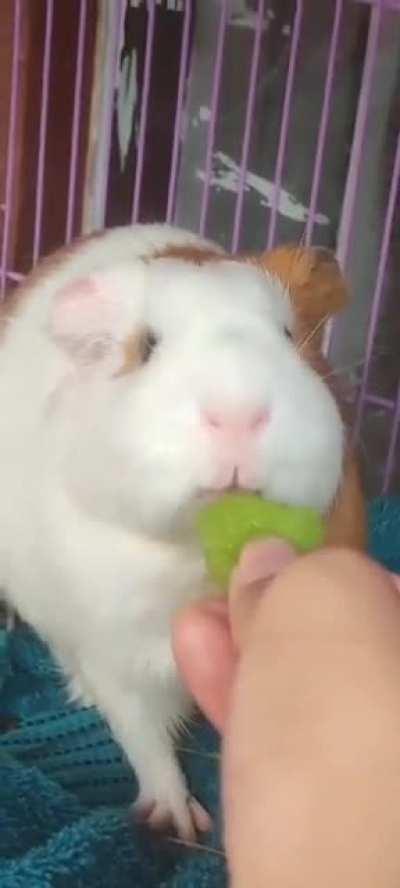 Julie trying out kiwi for the first time, looks like she loved it