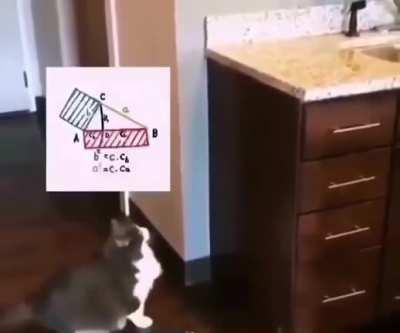 the calculation was wrong