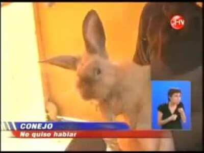 5 años de estudiar periodismo para esto