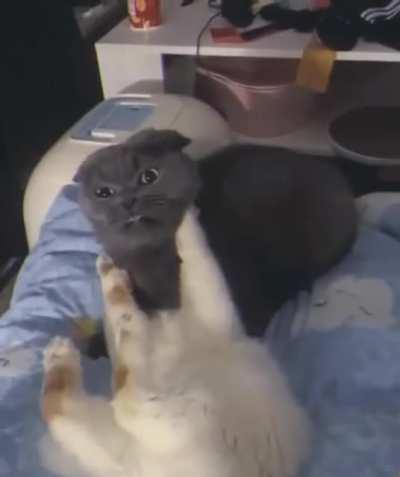 Shouldn't have done that, should not have done that