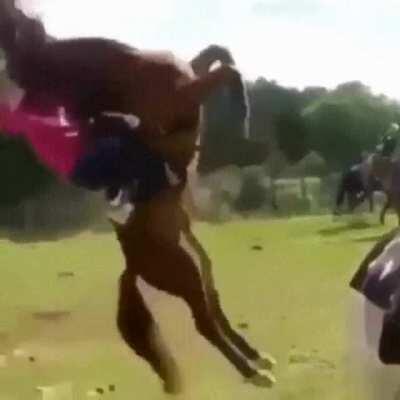 Pulling on a horse's mane