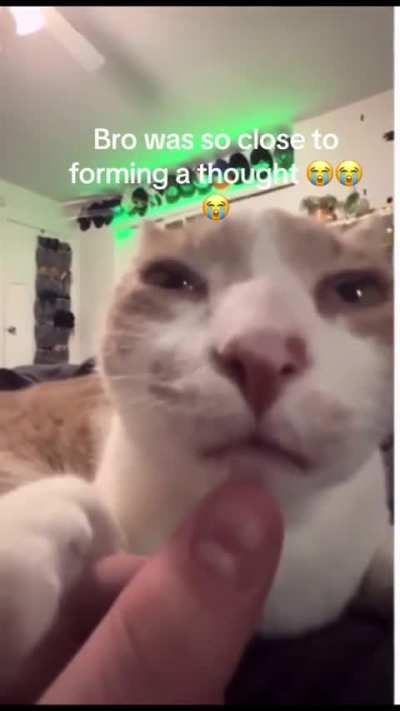 Fhnctdcbj h vvhnvgbunkus