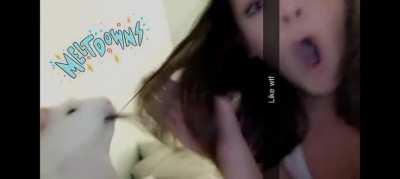 To take a cute photo.