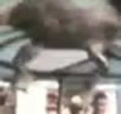 Tip 72: make sure your crabs are very meaty and muscular to gain the most meat out of them