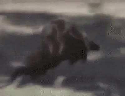 I don't even know how to title it