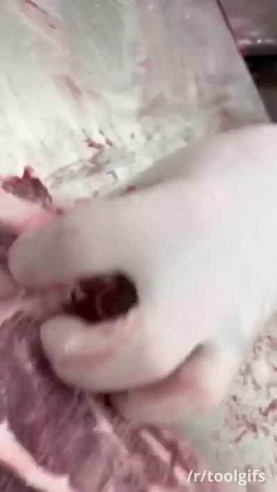 Butchering lamb on a bandsaw