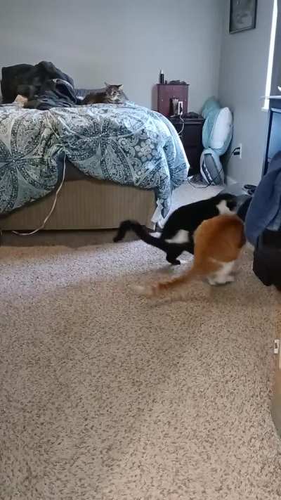 Jack got her back tap,lol.