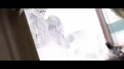 gayspiderbrothel - Video #5106