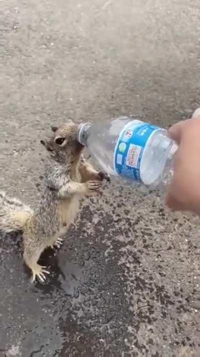 In a world when you can be anything, be kind