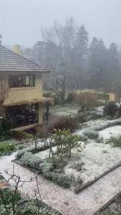 Snowing at the Blue Moutains!