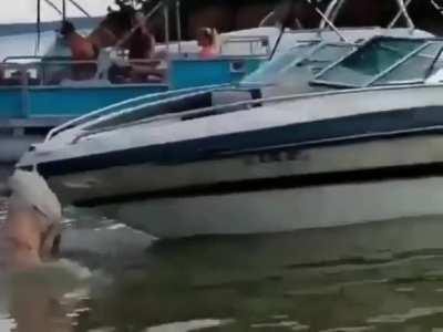 When you're too drunk to exit the boat