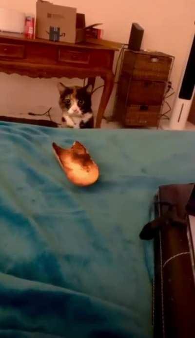 Fighting Bread