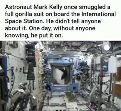 Space gorilla suit, +10000 confusion, +1000 fired