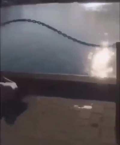 To jump into the river.