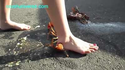 Maryse lobster barefoot size11us