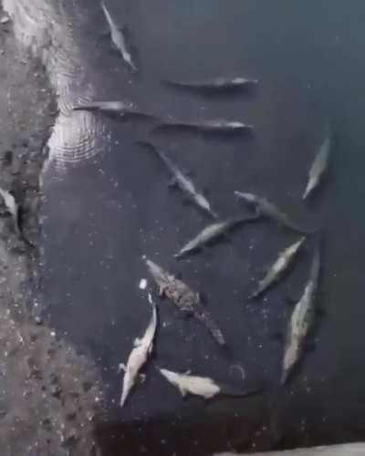 What could go wrong, not holding your phone properly…