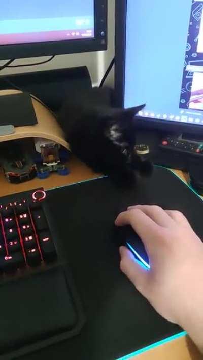 My Logitech mouse has been feeling heavier recently. Has anyone else been experiencing this issue?