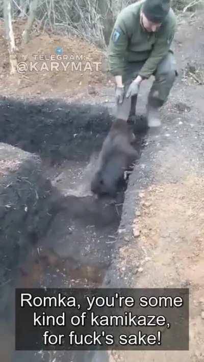 The Ukrainian biolab beaver is back, and it looks like the Ukrainian soldier is going to have to learn to share their fortified position.