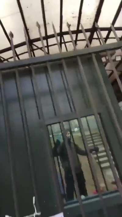 In Lithuania, someone destroyed a memorial to the victims of the Crocus terrorist attack.