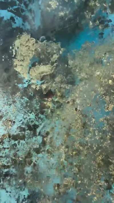 This stream at Fisher Glacier, Canada