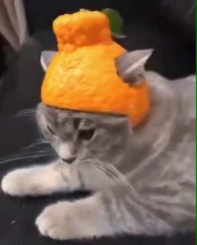 Citrus Helmet: +50 armor +27 hp -10 mobility