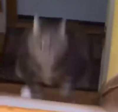 What the hell did I just watch