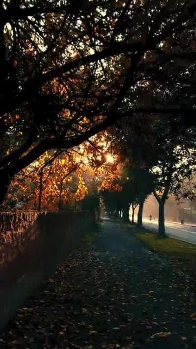 Beautiful golden light!