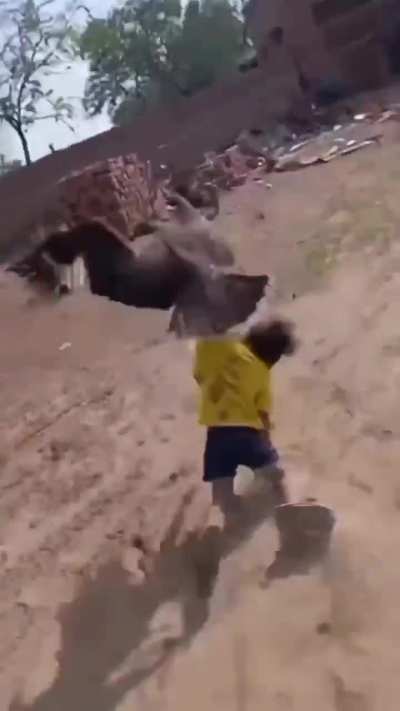 my ququsaurus ass dragging osama kleen laden back to natlan so alice can bomb the nation by awakening the heathenly dickciples