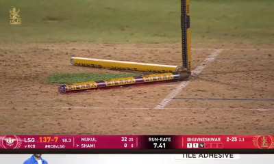 Bhuvneshwar Kumar bowls shami with a gorgeous yorker