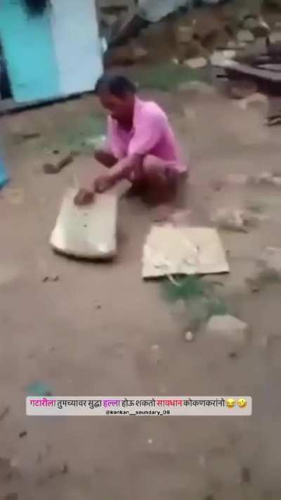 Horoz dövüşü sahroş