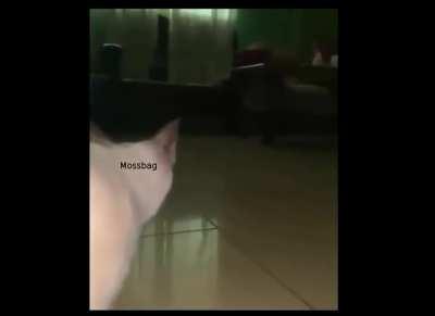 I will do what I must