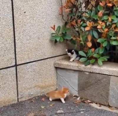 When your mind says give up,Your heart says give it one more try.