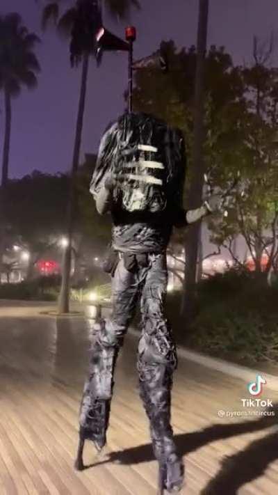 It's been a while since I see any Siren head stuff on here but I found this one IRL