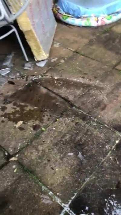 It would be rude not to.